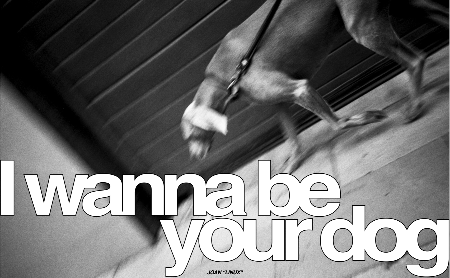 I Wanna Be Your Dog