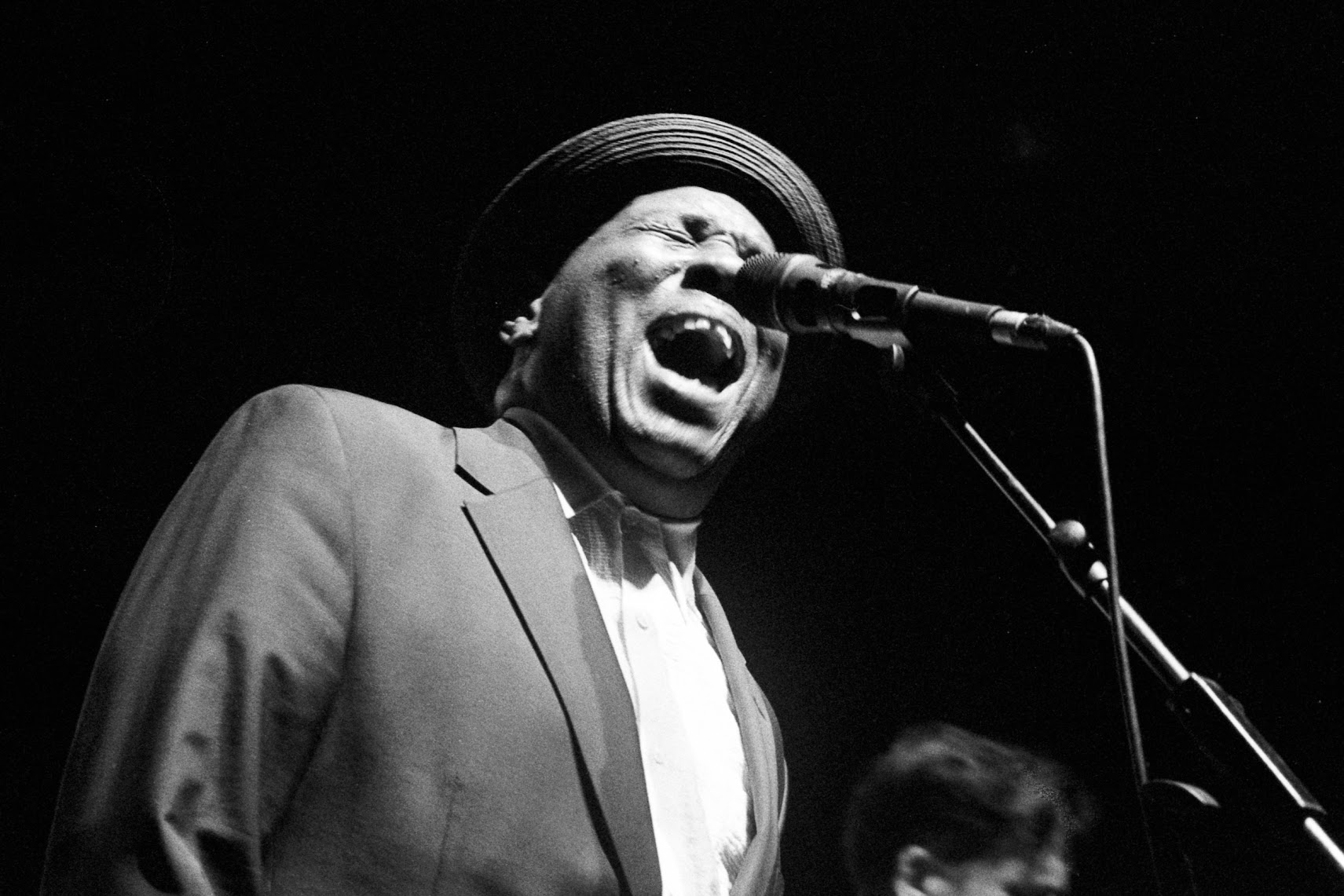 Festival de Blues de Barcelona, fotografia oficial