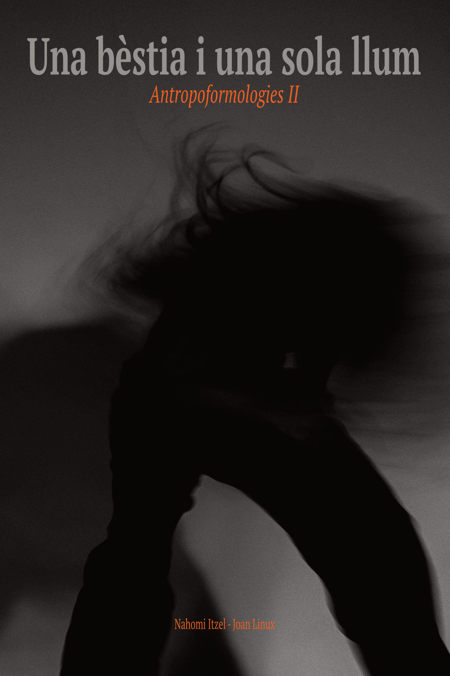 Maqueta — Antropoformologies II