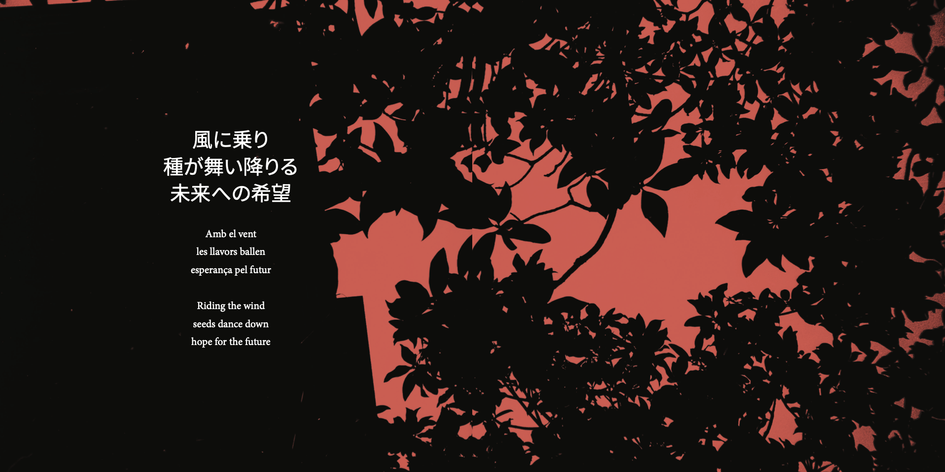 Medatsu Ki — portada